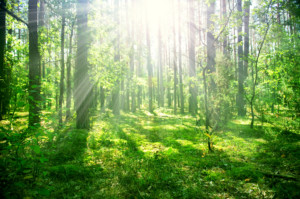 【新】スターピープルWEBを立ち上げました！