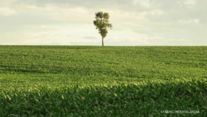 人間を取り巻く癒しの音と破壊の音にフォーカス！ 映画『静寂を求めて』試写会リポート