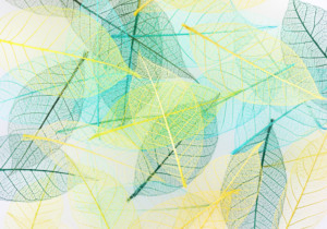 最速の道はどれ？（笑）