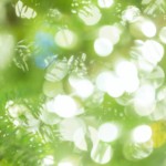10月24日(水)、『森のように生きる』出版記念スペシャルゲストトークイベントを開催!