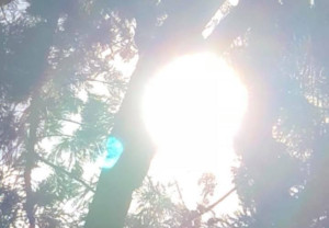 ドクタードルフィンの「あなたを突然変異させちゃいます！」【連載2】人類の次元上昇の鍵を握る水晶とイルカたち