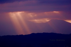 【清水友邦】右脳と左脳