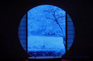 【清水友邦】観照