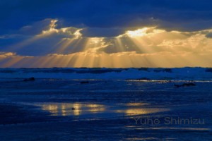 【清水友邦】病の原因