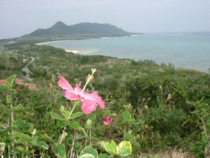 池田整治フォトエッセイ／第1回　2019年を一言でいえば…ついに大峠