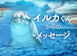 ドルフィニスト綾子の「イルカくんからのメッセージ」／vol.9 世界的な災害の多発が意味するもの