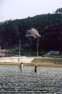 池田整治フォトエッセイ／第2回　命を紡ぐ母の種
