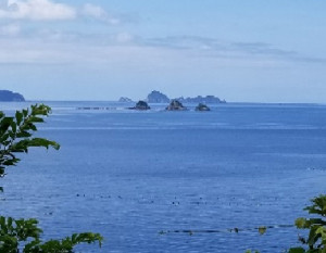 池田整治フォトエッセイ／第3回　恨み残らぬ武士道の戦い