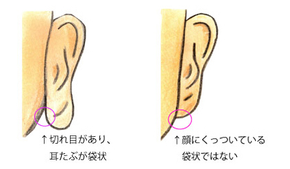 いくら流 ワクワク人相講座 6 今までの人相鑑定から判明した性格や運勢の傾向