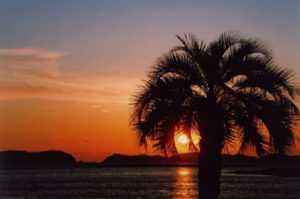 池田整治フォトエッセイ／第4回　今度こそ、本当の十年一昔に