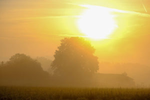 高島康司の進化への扉／第15回　転換点は2029年か？プレヤーレンからのメッセージ《前半》