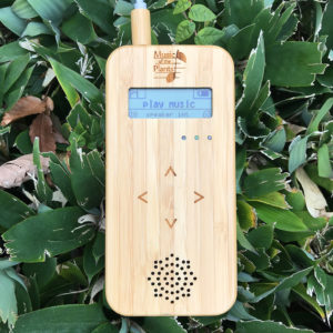 植物が歌う癒しのメロディが聴けるマジカルツール「バンブー」
