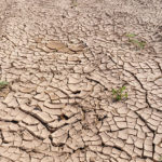 高島康司の進化への扉/第17回 プレヤーレンが教える地球温暖化の本当の原因