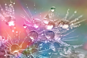 【いよいよ12月待望の来日！】ジャスムヒーンが語る不食の世界〈3〉最高の可能性を得られるユニティとワンネスの世界