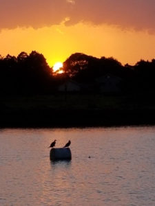 池田整治フォトエッセイ／第8回　出した波は返ってくる