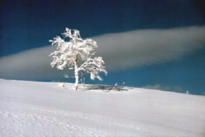 池田整治フォトエッセイ／第9回　真実の歴史を知り「自虐史観」を解く