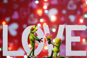 アラン・コーエンのスピリチュアルエッセイ〈3〉最愛の人に出会える場所