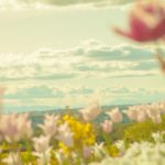 アーロン千生の開運塾〈6〉3月20日に「ある吉」すれば仕事運・恋愛運・金運がアップ!