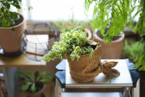 アーロン千生の開運塾〈16〉 6月1日に「ある吉」すれば仕事運・恋愛運・金運がアップ！