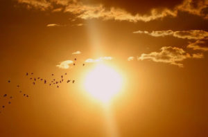 高島康司の進化への扉／第25回　エド・デイムス少佐が遠隔透視で観た近未来の地球