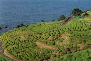 池田整治フォトエッセイ／第16回　8.15歴史再考（“過ちは二度と繰り返しません”の自虐史観）