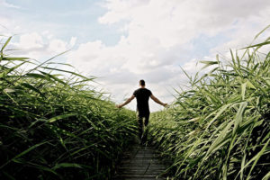 ドルフィニスト篤の「本当の自分と出会う悟りへの道」／vol.5 「私」の枠と限界を取り除く感謝のエネルギー