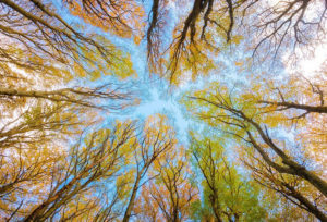 いけだ笑みの「空を仰げば」〈1〉 迫り来る「火星木星スクエア」に心せよ