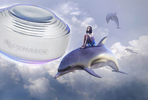 【ソマヴェデック体験談】イルカたちが祝福！5G対策装置「スカイ5G」が我が家にやって来た！