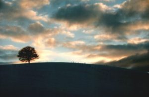 池田整治フォトエッセイ／第20回　愛の星を目指して「トランプ、ありがとう！」