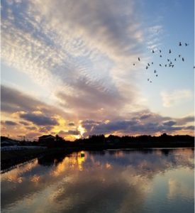 池田整治フォトエッセイ／第21回　新型コロナ：悪魔の仕業か、神一厘の仕掛けか