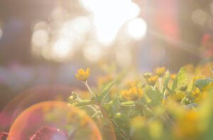 松田麻寿のスピリチュアルガイダンス〈9〉 6月は地球が細胞レベルで変容するための分岐点