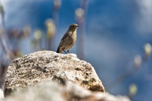 ドルフィニスト篤の「本当の自分と出会う悟りへの道」／vol.15 「死」とともに生きると別の世界が広がる