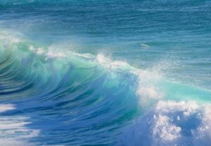 ドルフィニスト篤の「本当の自分と出会う悟りへの道」／vol.17 個の囚われから抜けて全体としての私に戻る