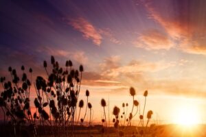 松田麻寿のスピリチュアルガイダンス〈14〉 11月は光が射す寸前の夜明け前の時