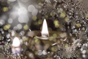 ドルフィニスト篤の「本当の自分と出会う悟りへの道」／vol.20 本当に欲しいものを得るために