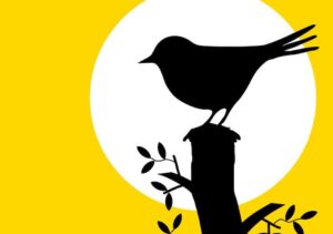 ヘルメス・J・シャンブの「“在る”の息吹」／vol.12  ギリの物語3