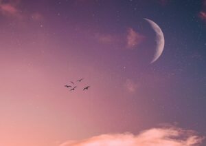 福本基が予測！／伝統的占星術から読み取る「月食の影響による2022年の傾向」