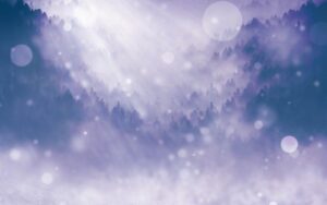 椿の「新しい地球の響き」／vol.4 祝福された喜びを伴う光の中で生きる