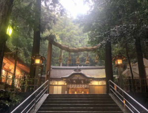 椿の「新しい地球の響き」／vol.6  自由という恩恵が加速する「春分以降の地球の変容」