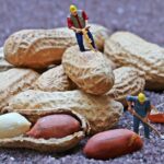 はらゆうこの「幸せ未知案内」〈 6 〉豊かさの循環に突入する方法
