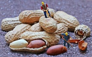 はらゆうこの「幸せ未知案内」〈 6 〉豊かさの循環に突入する方法