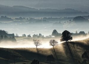 高島康司の進化への扉／第48回  これまで伏せられていたコンタクト内容