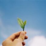 はらゆうこの「幸せ未知案内」〈 7 〉夢を叶える大人になろう
