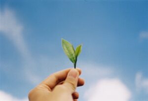 はらゆうこの「幸せ未知案内」〈 7 〉夢を叶える大人になろう